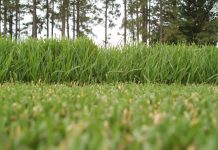 Daily Video: U.S. Open Rough, Oakmont Pairings, Berger Wins FedEx St. Jude