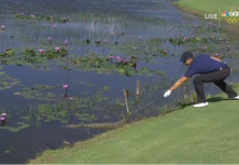 Henrik Stenson Pokes Caiman With Golf Club at Olympics