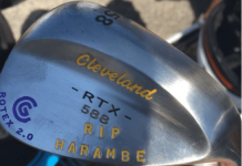 The Daily: Smylie Remembers Harambe, Daly-Parnevik Road Trip, Knox Snubbed, More
