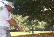 The Daily: LPGA Major Update, ‘Beef’ Snacks, Westwood Channels Seve, More