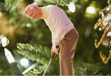 Arnie is the Very Coolest Christmas Ornament