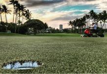 Instagrams From Hawaii at the Sony Open