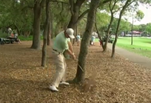 Flashback: Ernie Els Breaks Iron In Half On Tree