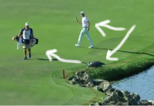 ICYMI: Smylie Imitates Cody After Spotting Gator (Not Really)