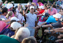 8 Factoids: Si Woo Kim