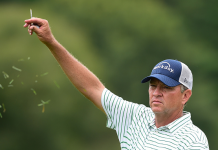 Love Trumps Love: DL3 Leads DL4 By 11