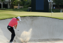 3 Top Shots From Day One In Dubai Justin Rose