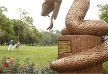 Hole of the Week: The Snake Pit Entrance at Copperhead Snake Pit Copperhead Course Innisbrook
