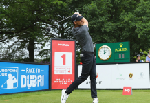 Primer: Belgian Knockout