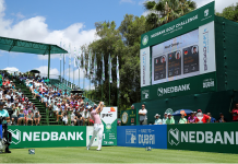 Primer: 2018 Nedbank Golf Challenge – History, TV, Field, Odds Nedbank Golf Challenge