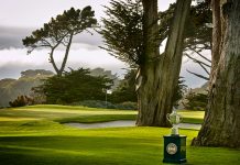 2020 PGA Championship Primer: History, TV, Field, Odds 2020 PGA Championship at TPC Harding Park