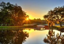 Play Where the Pros Play: Innisbrook Resort