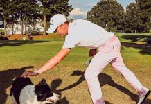 Meet Millie, TPC Southwind’s Biggest Star Justin Thomas Millie Border Collie